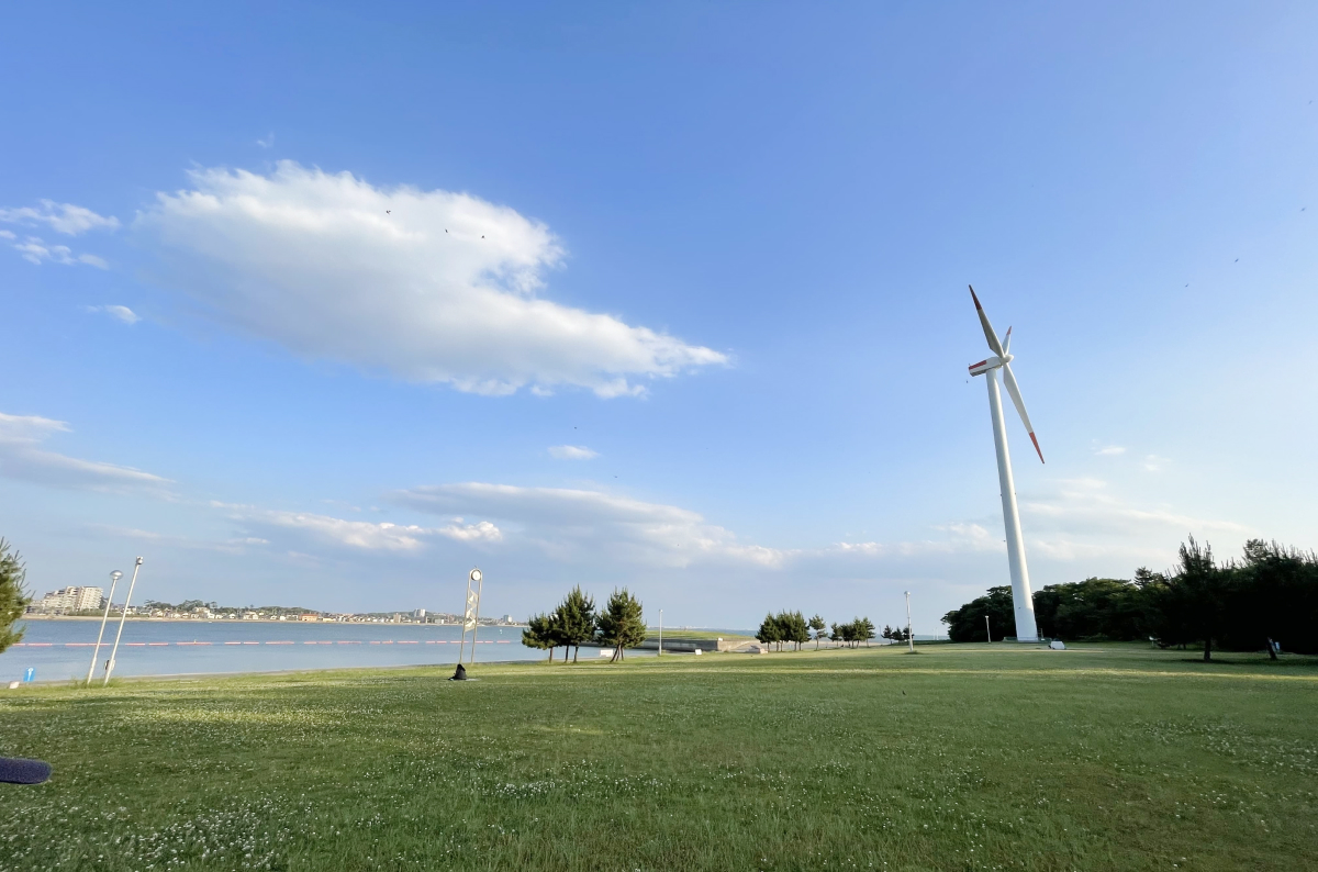 青空の元の公園の写真
