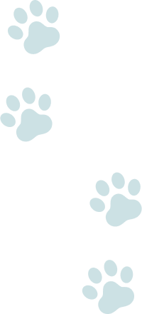 猫の足あと